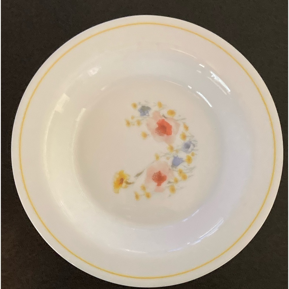 Set of 4Arcopal Summer Meadow 7" Salad Plates/Soup Bowls  Made in France 1970's